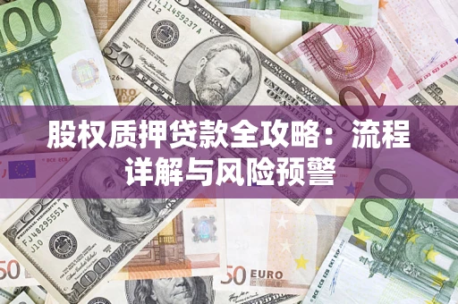 武汉股权质押贷款全攻略：流程详解与风险预警