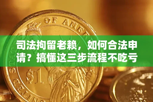 武汉司法拘留老赖，如何合法申请？搞懂这三步流程不吃亏！