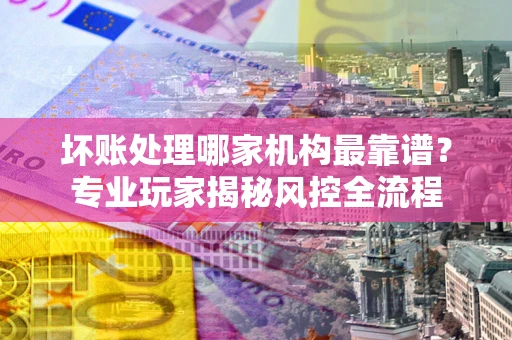 武汉坏账处理哪家机构最靠谱？专业玩家揭秘风控全流程