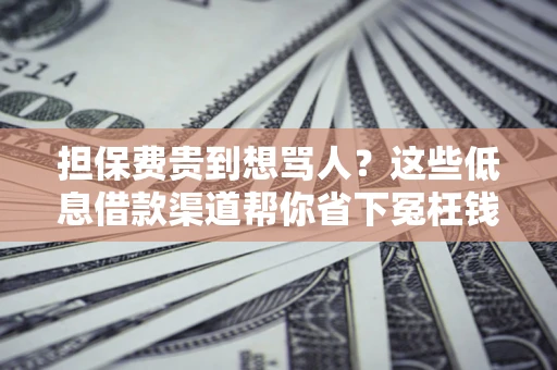武汉担保费贵到想骂人？这些低息借款渠道帮你省下冤枉钱
