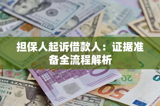武汉担保人起诉借款人：证据准备全流程解析