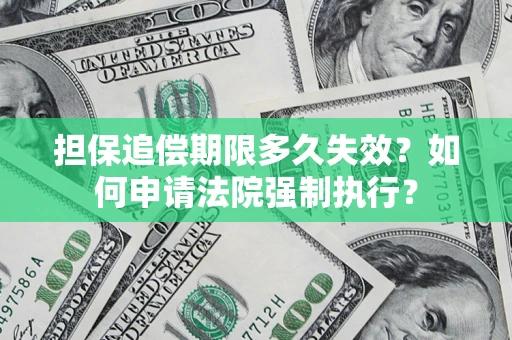 武汉担保追偿期限多久失效？如何申请法院强制执行？