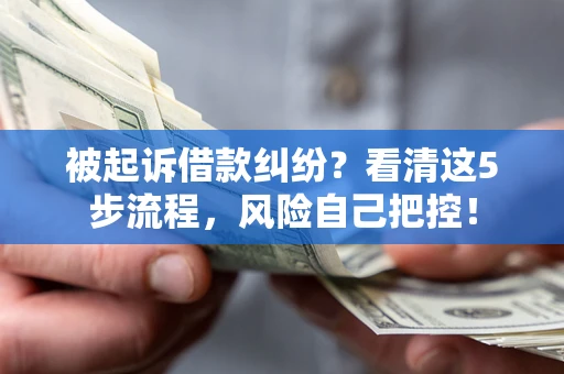武汉被起诉借款纠纷？看清这5步流程，风险自己把控！