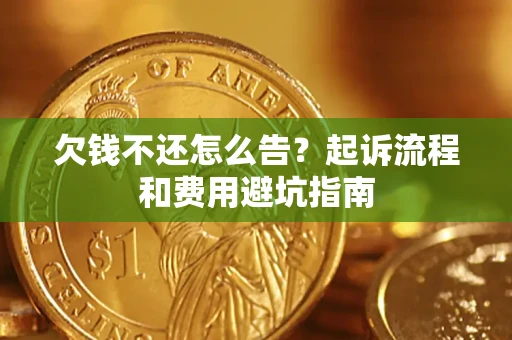 武汉欠钱不还怎么告？起诉流程和费用避坑指南