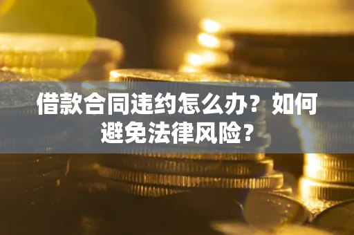 武汉借款合同违约怎么办？如何避免法律风险？