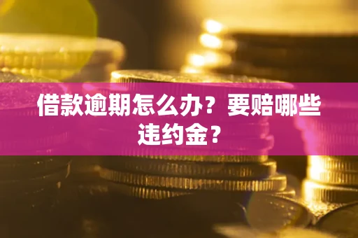 武汉借款逾期怎么办？要赔哪些违约金？