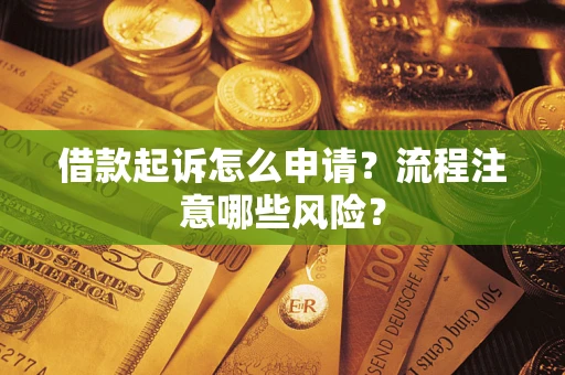 武汉借款起诉怎么申请？流程注意哪些风险？